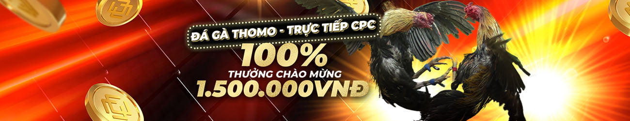 dagathomohomnay.vip ĐÁ GÀ THOMO 100% Thưởng Nạp Lần Đầu