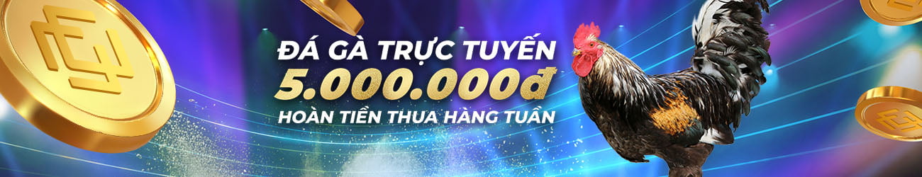 dagathomohomnay.vip Hoàn tiền 3.88% hàng tuần tại Đá Gà